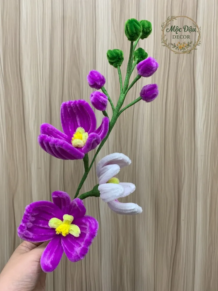 Cành hoa lan hồ điệp tím trắng