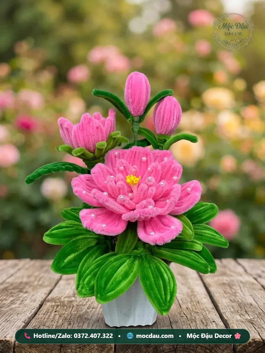 Chậu hoa mẫu đơn hồng