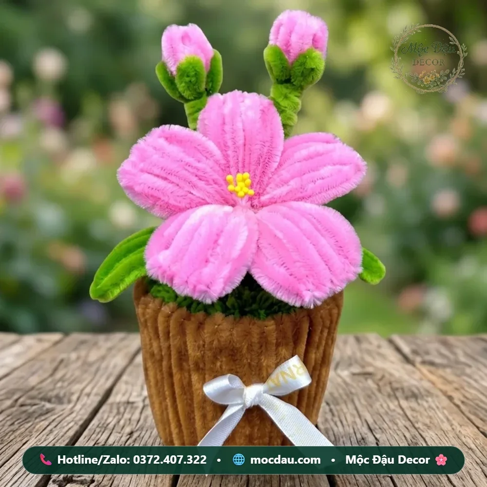Chậu hoa 5 cánh size mini màu hồng