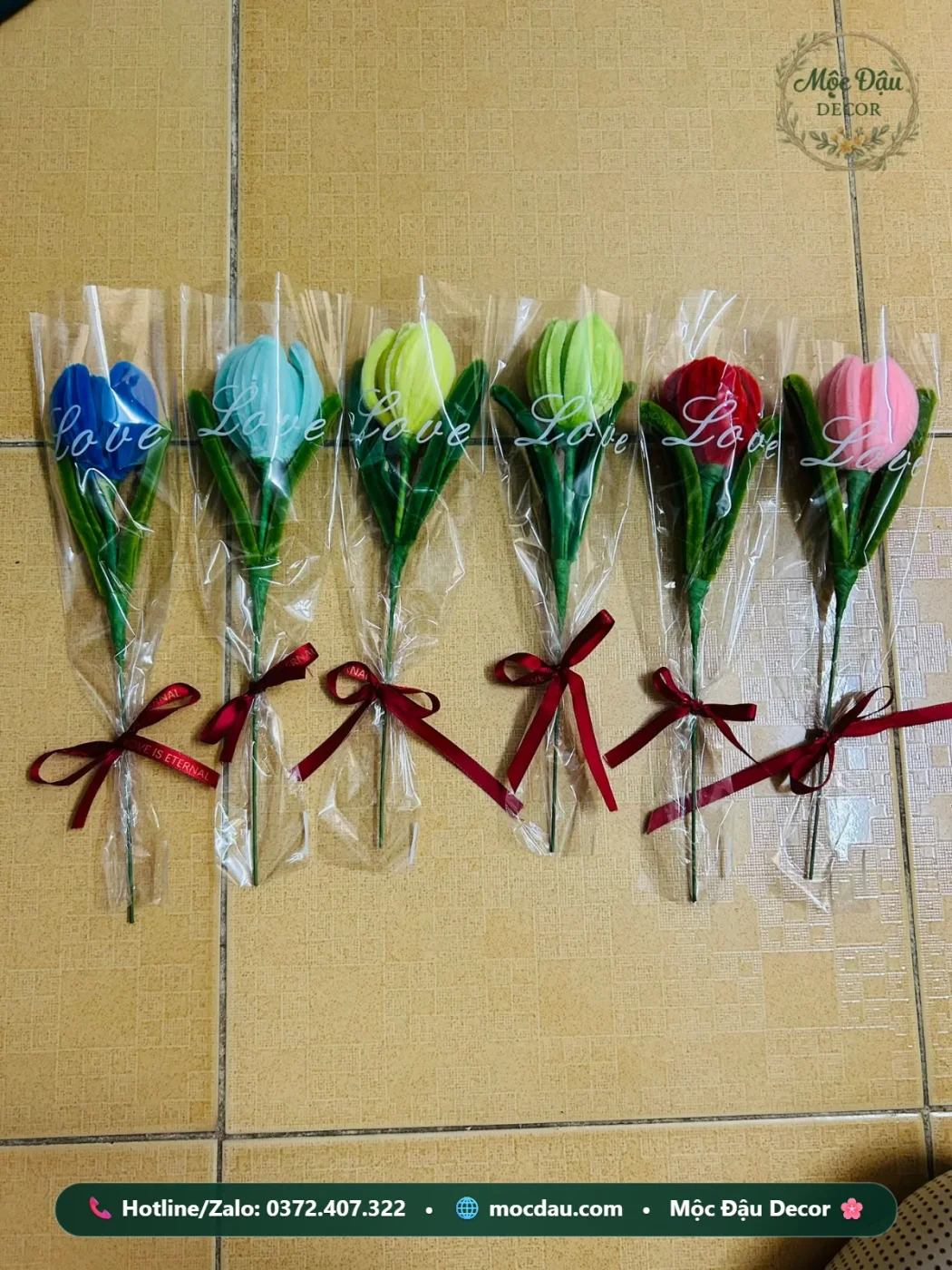 Cành hoa tulip