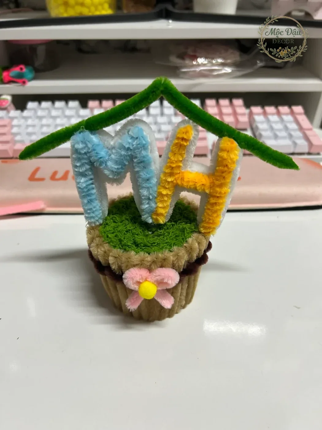 Chậu cây custom
